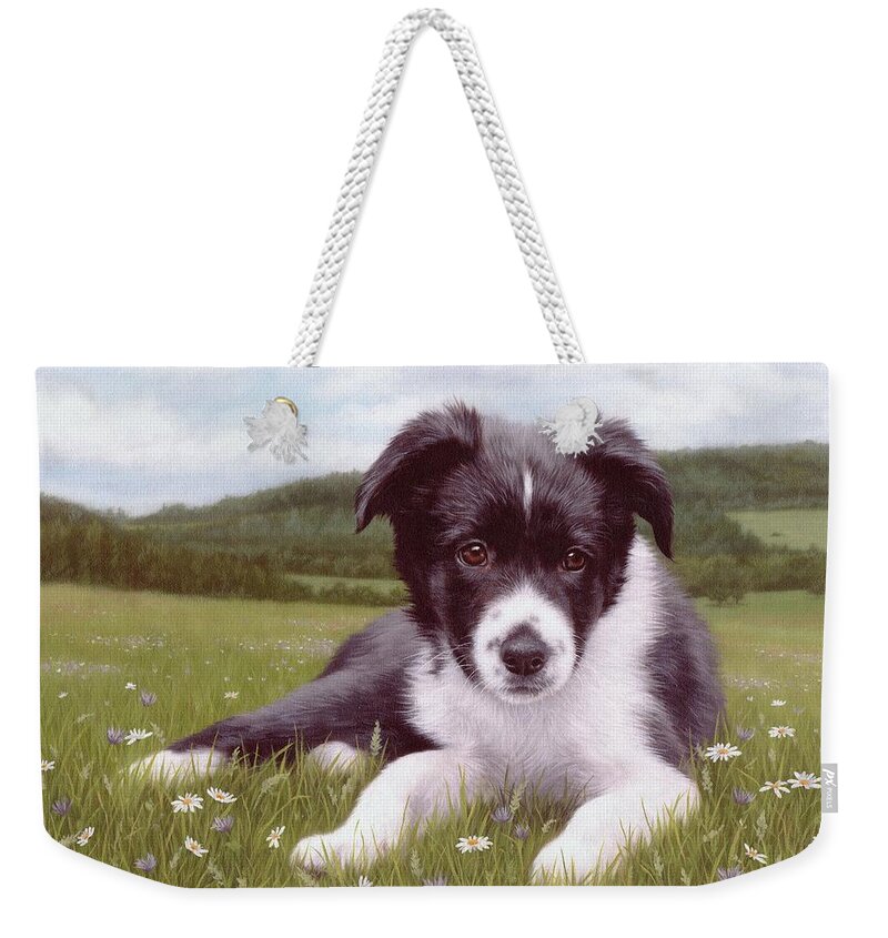 Dog Weekender Tote Bag featuring the painting Border Collie Puppy Painting by Rachel Stribbling