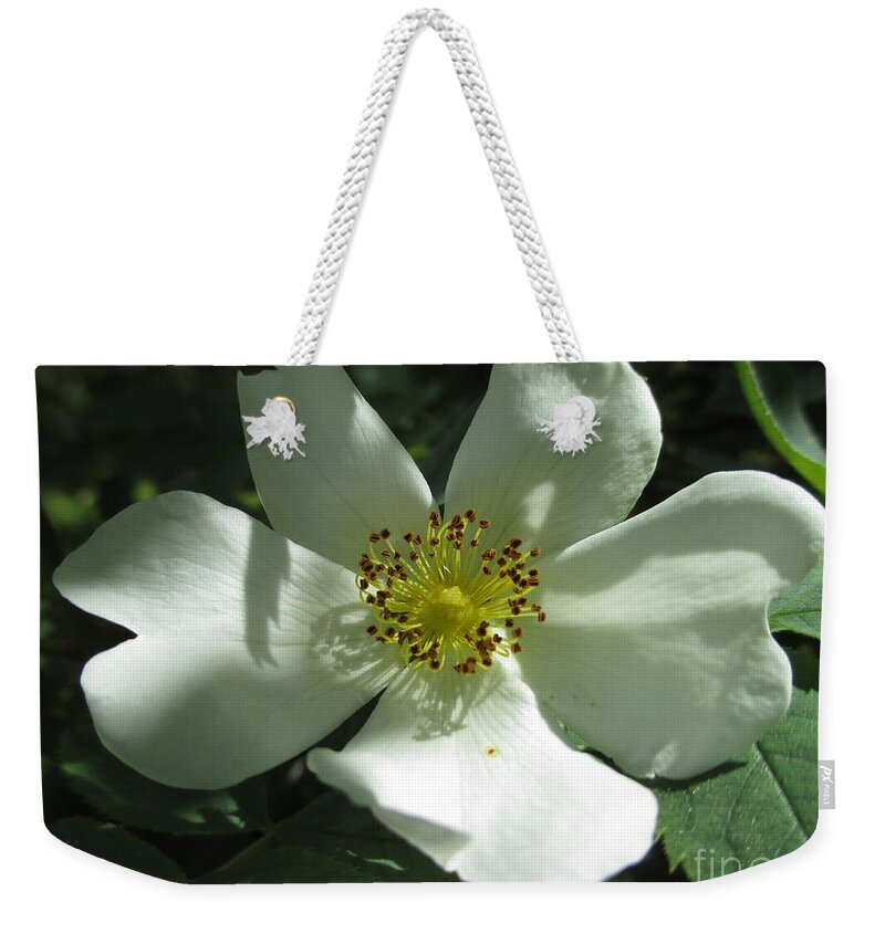 Rose Weekender Tote Bag featuring the photograph Born To Be Wild by Martin Howard