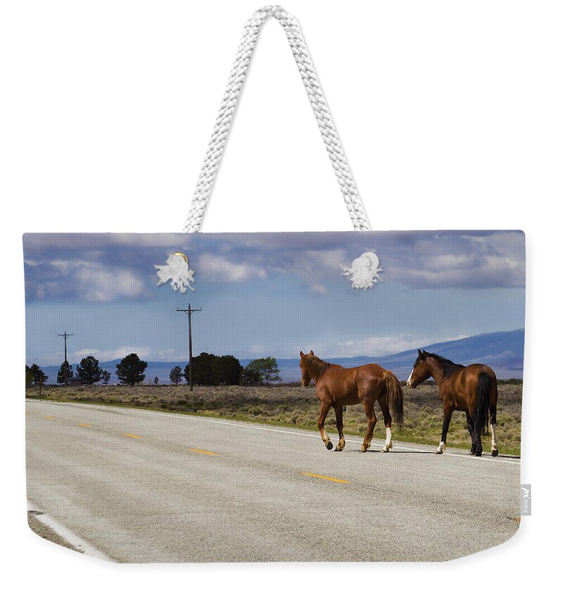 Horse Weekender Tote Bag featuring the photograph Born to be Wild by Terry Fiala