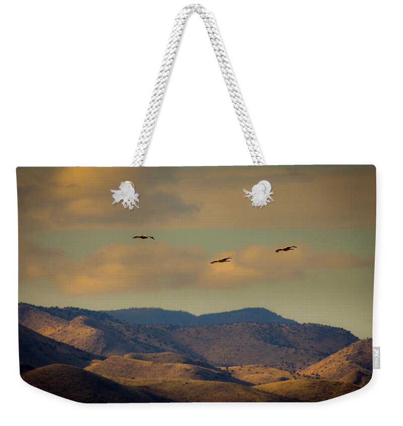Nwr Weekender Tote Bag featuring the photograph Bosque del Apache Cranes by Jeff Phillippi