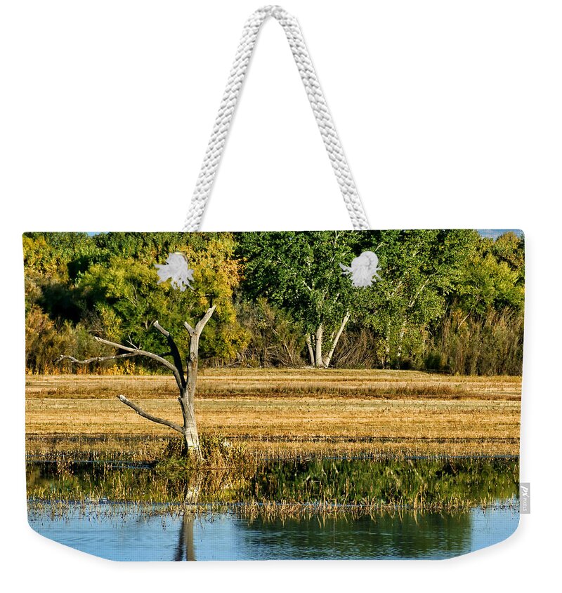 New Mexico Weekender Tote Bag featuring the photograph Bosque del Apache - New Mexico by Nikolyn McDonald