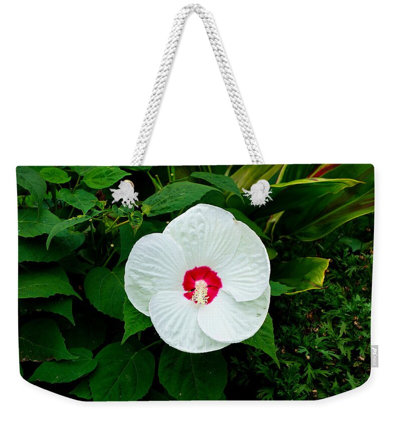Boston Weekender Tote Bag featuring the photograph Boston Common Study 10 by Robert Meyers-Lussier