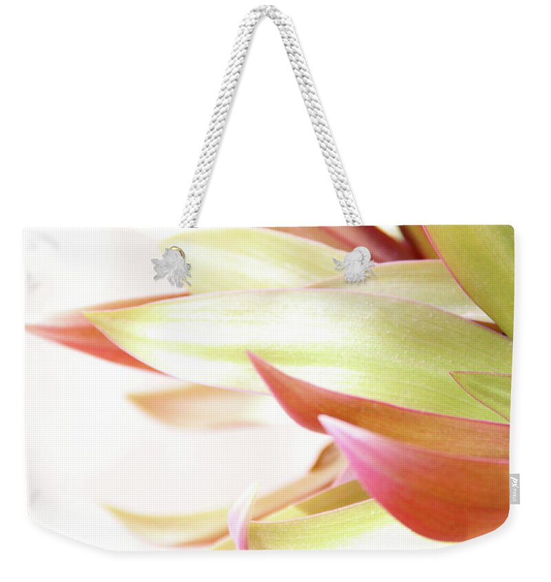 Plant Weekender Tote Bag featuring the photograph Botanical Dance by Becqi Sherman