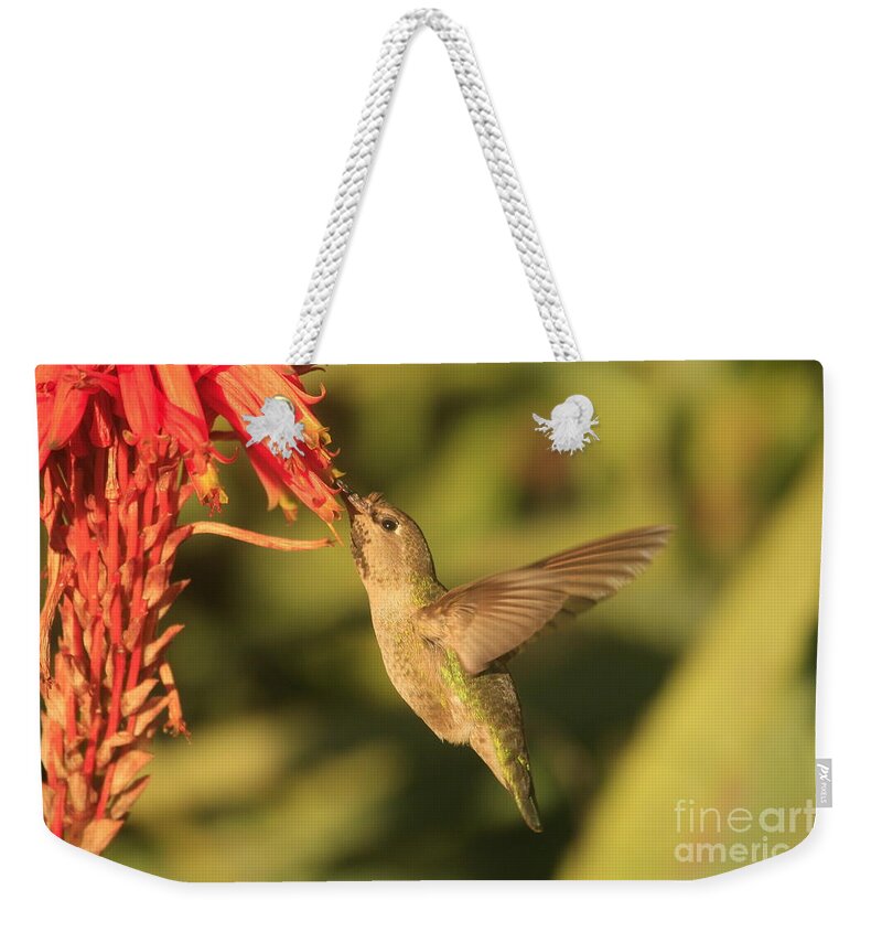 Birds Weekender Tote Bag featuring the photograph Anna's arrival by John F Tsumas