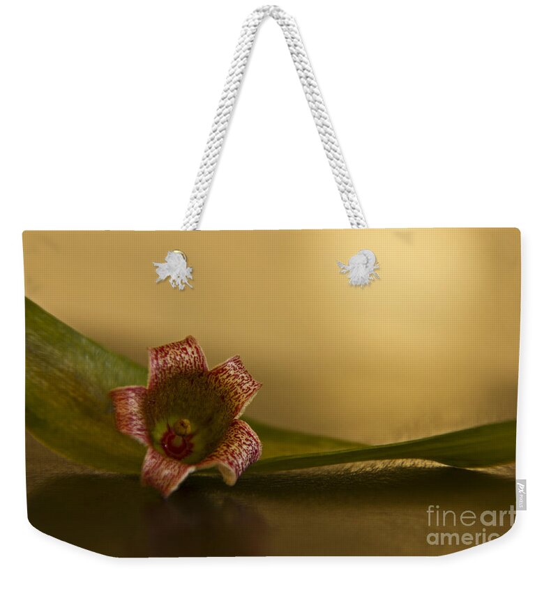 Brachychiton Weekender Tote Bag featuring the photograph Bottle Tree Flower by Kelly Holm