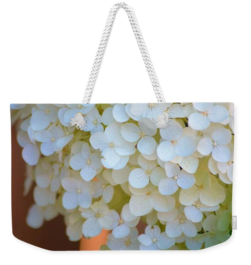 Flowers Weekender Tote Bag featuring the photograph Bouquet by Tamara Michael