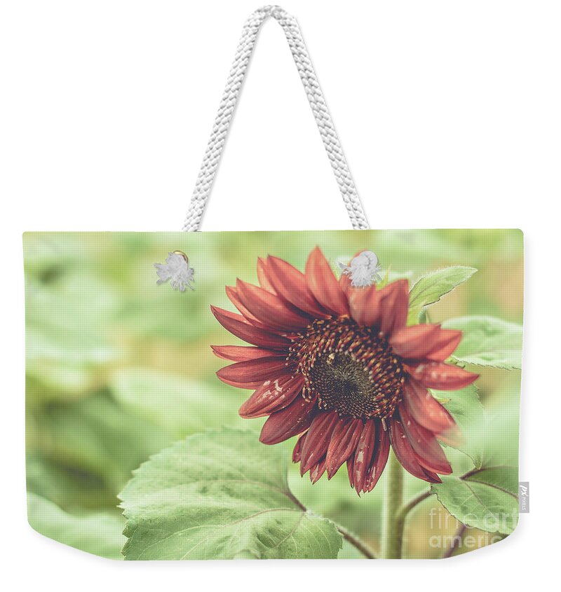 Cheryl Baxter Photography Weekender Tote Bag featuring the photograph Bowing Sunflower by Cheryl Baxter
