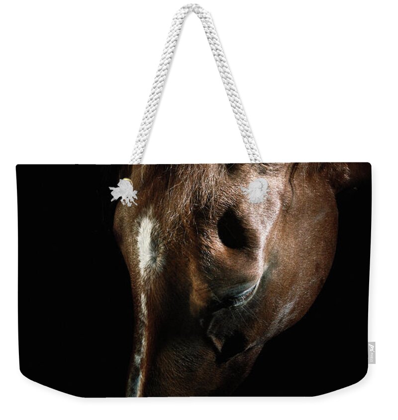 Horse Weekender Tote Bag featuring the photograph Bown horse portrait by Dimitar Hristov
