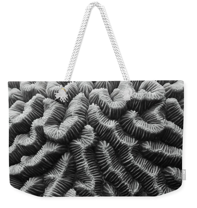 Brain Coral Weekender Tote Bag featuring the photograph Brain Coral Details by Roupen Baker