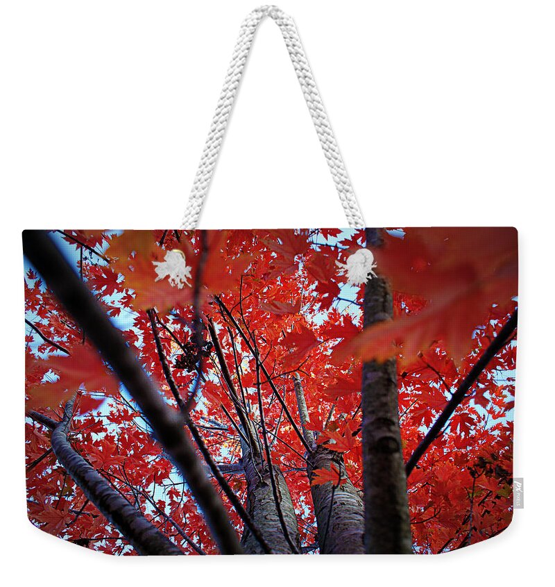 Red Weekender Tote Bag featuring the photograph Branches of Autumn's Blaze by Cricket Hackmann
