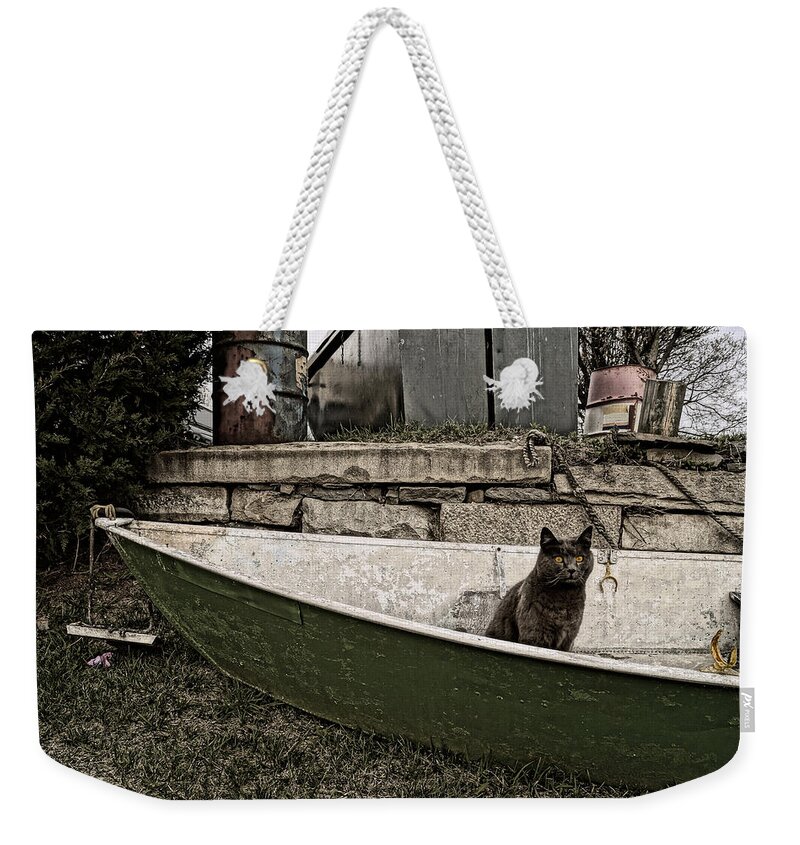 Cat Weekender Tote Bag featuring the photograph Brandy, You're A Fine Girl by Garrett Sheehan