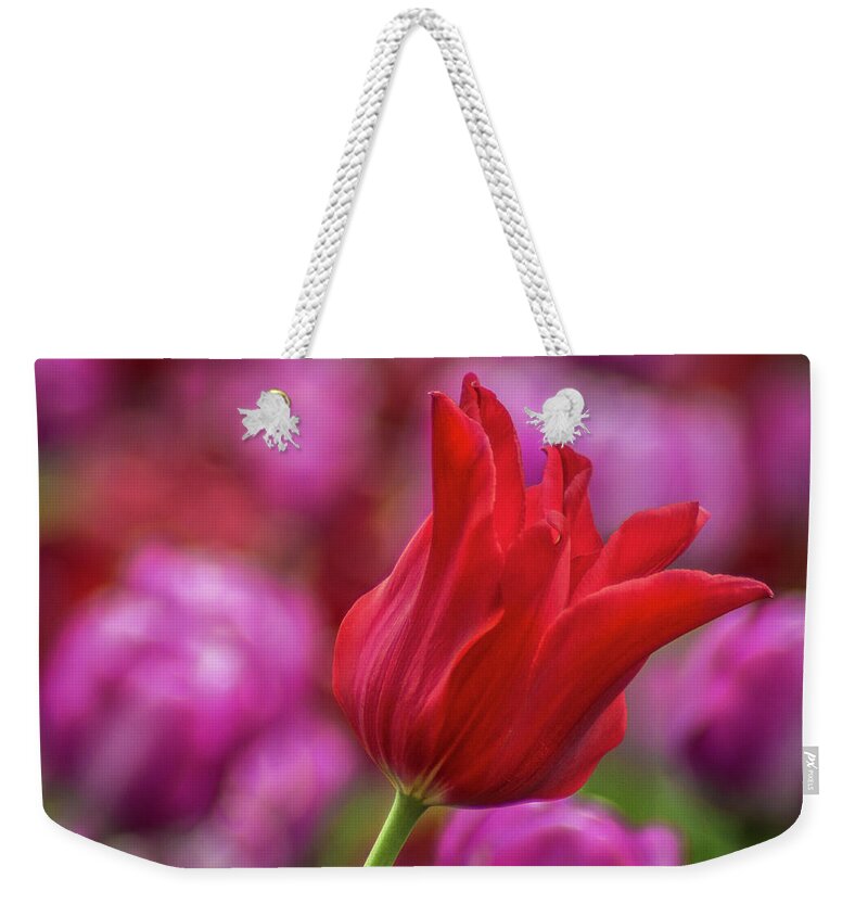 Purple Weekender Tote Bag featuring the photograph Brazenly Delicate by Bill Pevlor