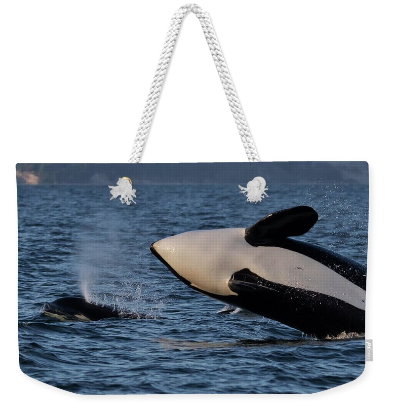 Orca Weekender Tote Bag featuring the photograph Breach by Randy Hall