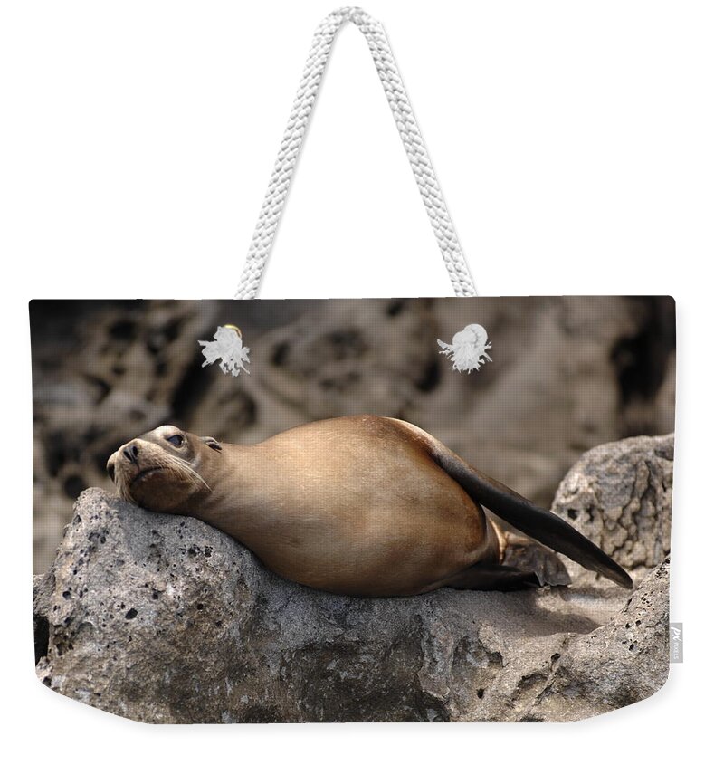 Seadvertisement Weekender Tote Bag featuring the photograph Break Time by David Shuler