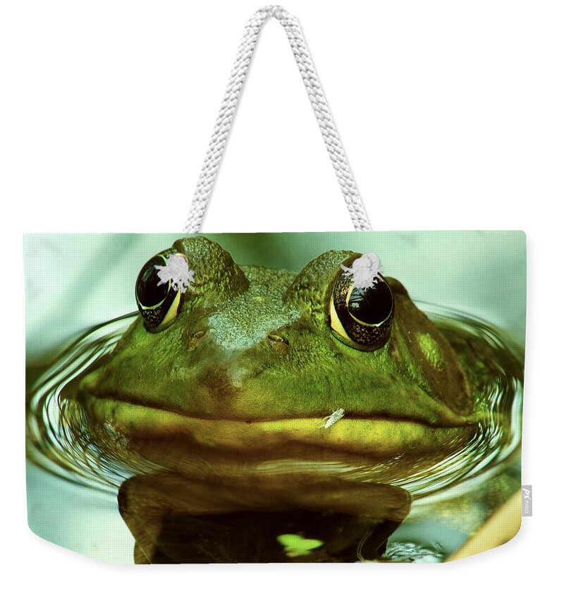 Nature Weekender Tote Bag featuring the photograph Breakfast Anyone by Michael Peychich