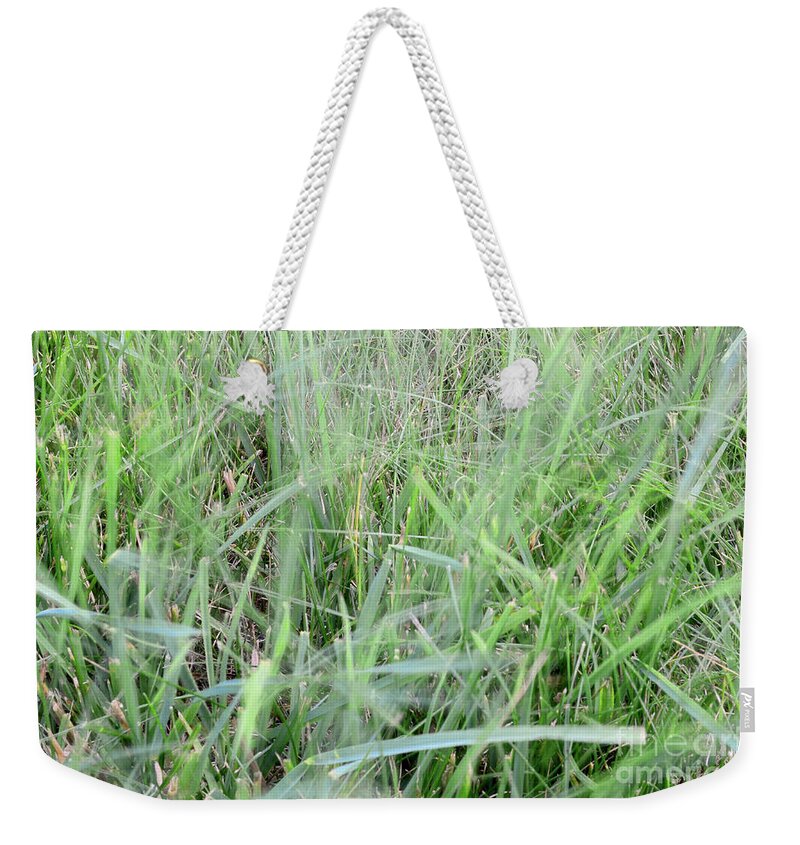 Spring Fling Weekender Tote Bag featuring the photograph Breeze in the Grass by Jason Freedman