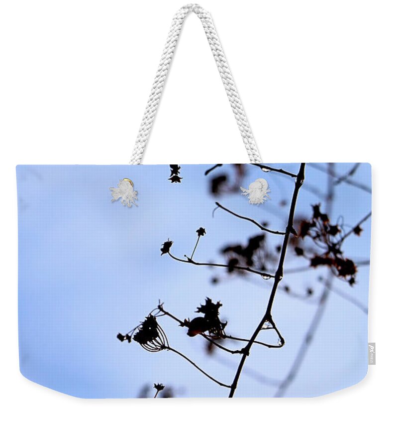Bridal Wreath Weekender Tote Bag featuring the photograph Bridal Wreath in Winter by Elizabeth Dow