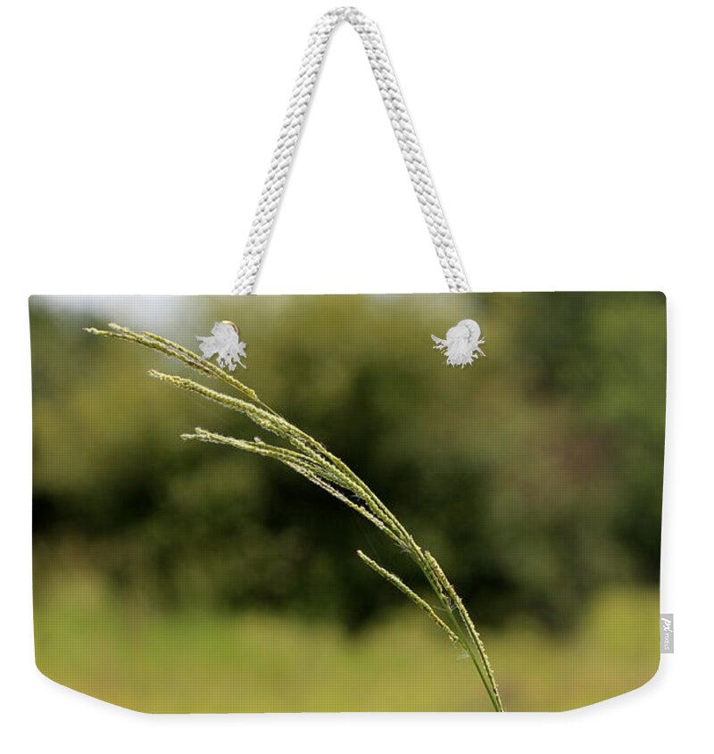 Breezy Weekender Tote Bag featuring the photograph Bright Breezy Day by Beth Vincent