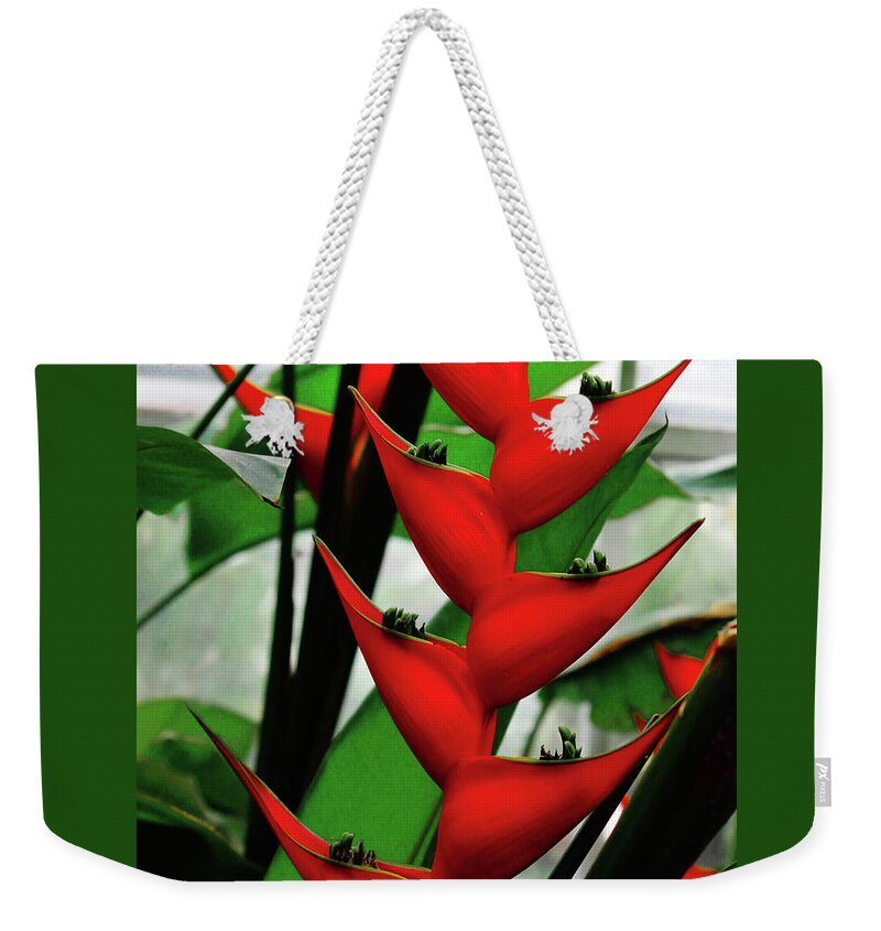 Decorative Weekender Tote Bag featuring the photograph Bright Red Flower by Rod Whyte