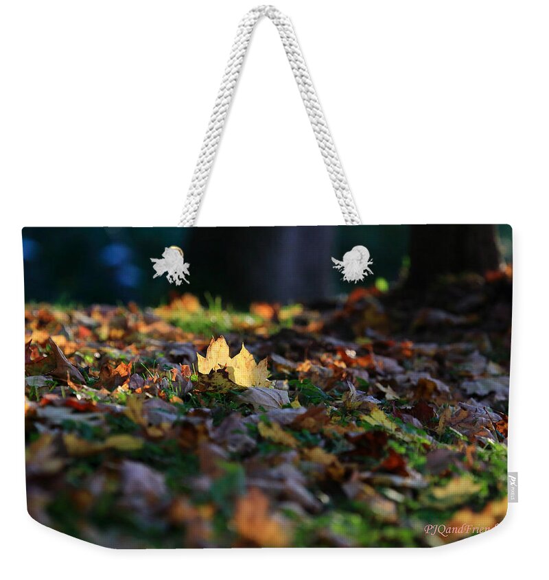 Bright Side Of Life Weekender Tote Bag featuring the photograph Bright Side of Life by PJQandFriends Photography