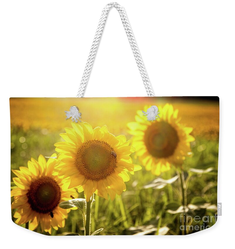 Sunflowers Weekender Tote Bag featuring the photograph Bright Sunflower Trio by Eleanor Abramson