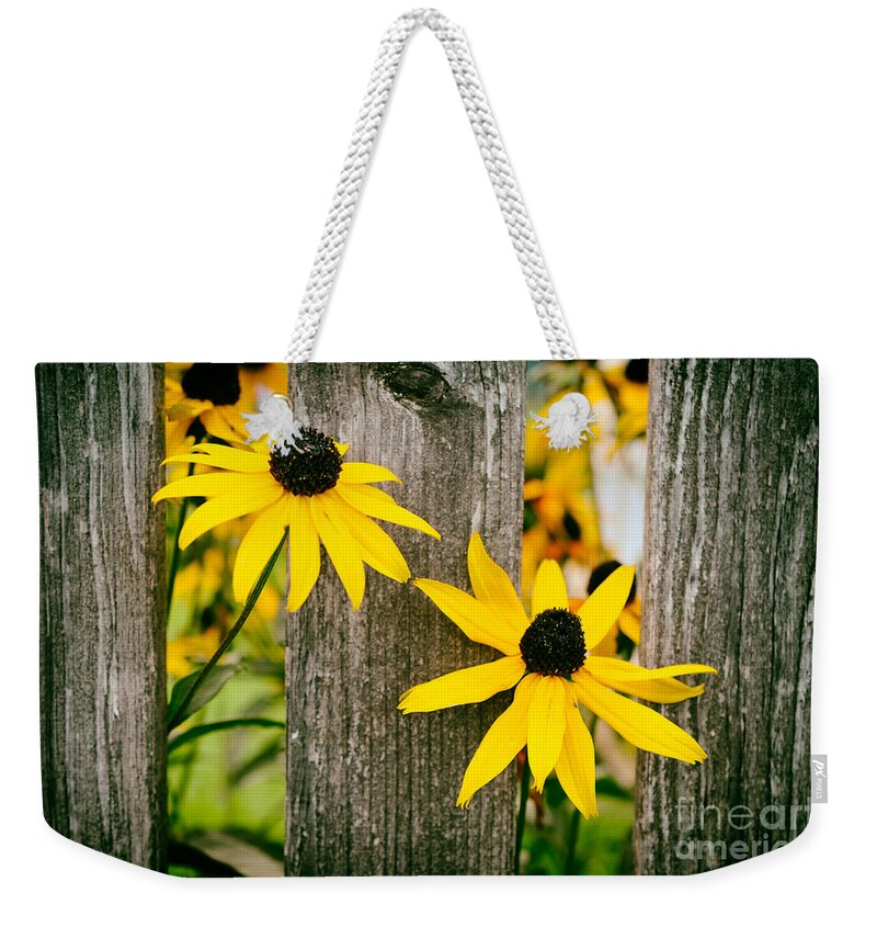 Autumn; Flowers; Flower; Colorful; Colors; Wood; Yellow; Nature; Natural; Fall; Bright; Vibrant; Still; Cheerful; Sabine Jacobs; Weekender Tote Bag featuring the photograph Bright Yellow Autumn Flowers by Sabine Jacobs