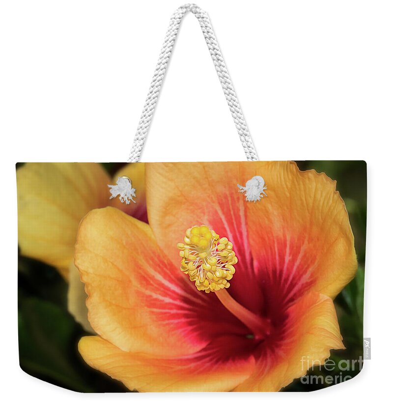 Flower Weekender Tote Bag featuring the photograph Brilliant Hibiscus by Mimi Ditchie