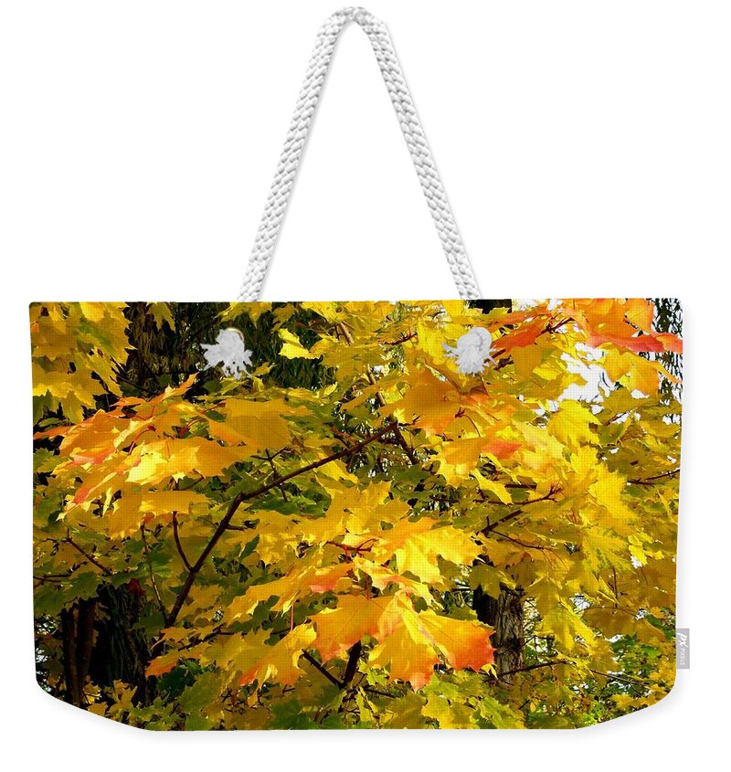 #brilliantmapleleaves Weekender Tote Bag featuring the photograph Brilliant Maple Leaves by Will Borden