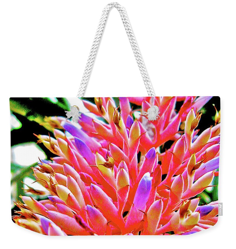 Bromeliad In National Botanical Garden Weekender Tote Bag featuring the photograph Bromeliad in National Botanical Garden, Washington DC by Ruth Hager