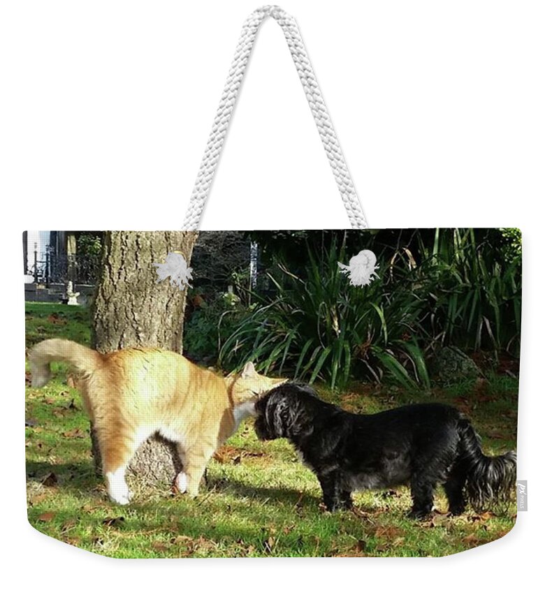 Dog Weekender Tote Bag featuring the photograph Brothers by Rowena Tutty