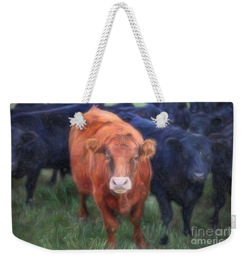 Our Town Weekender Tote Bag featuring the photograph Brown Cow by Craig J Satterlee