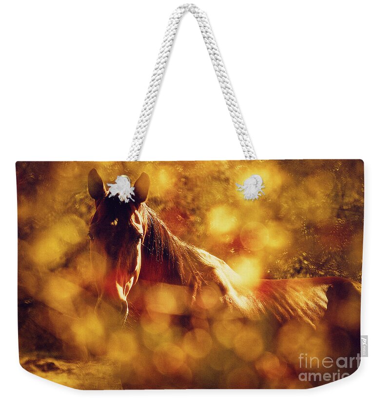 Horse Weekender Tote Bag featuring the photograph Brown Horse Portrait In Summer Day by Dimitar Hristov