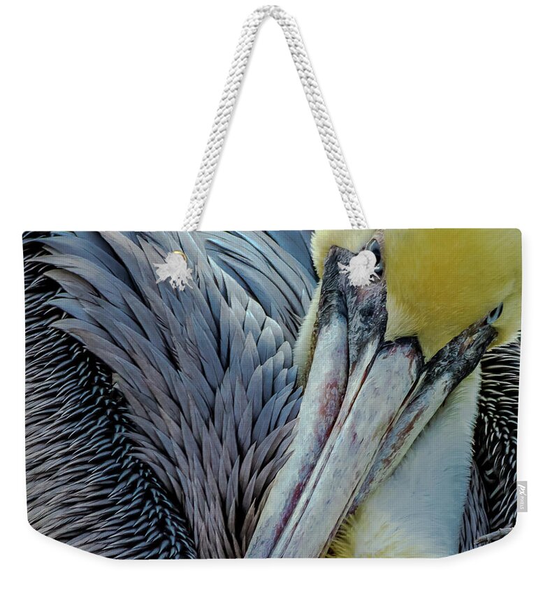 Beak Weekender Tote Bag featuring the photograph Brown Pelican by Bill Gallagher