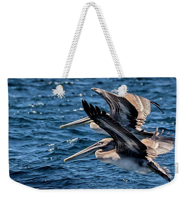 Brown Pelican Weekender Tote Bag featuring the photograph Brown Pelicans by Endre Balogh