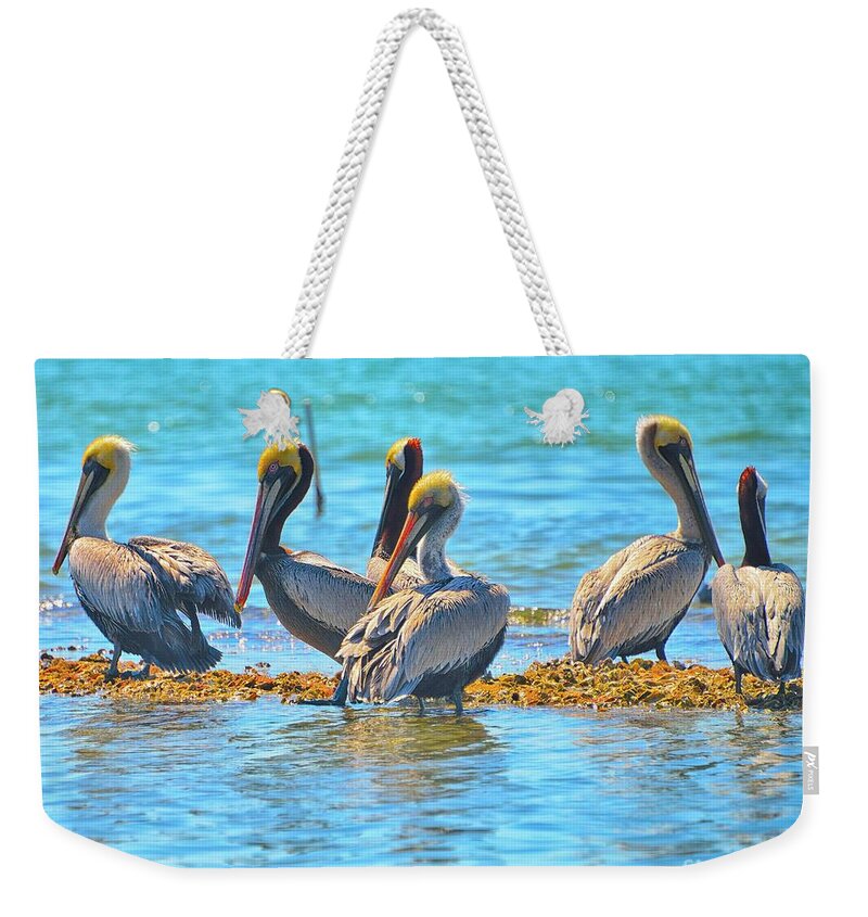 Englwood Florida Weekender Tote Bag featuring the photograph Brunch by Alison Belsan Horton