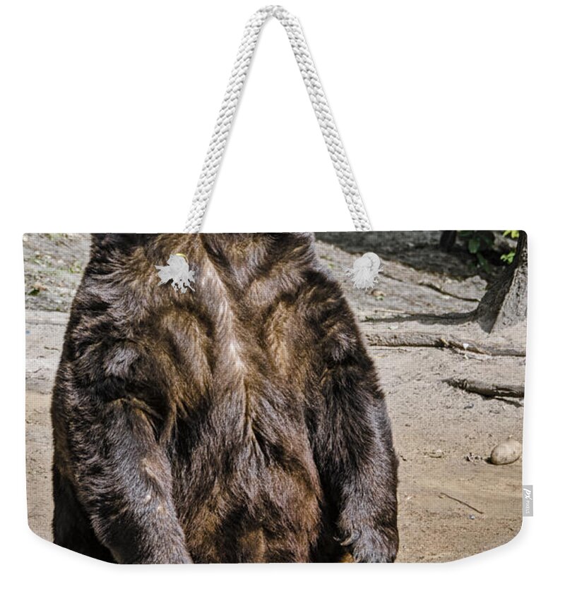 Black Bear Weekender Tote Bag featuring the photograph Bruno the Bear by Peg Runyan