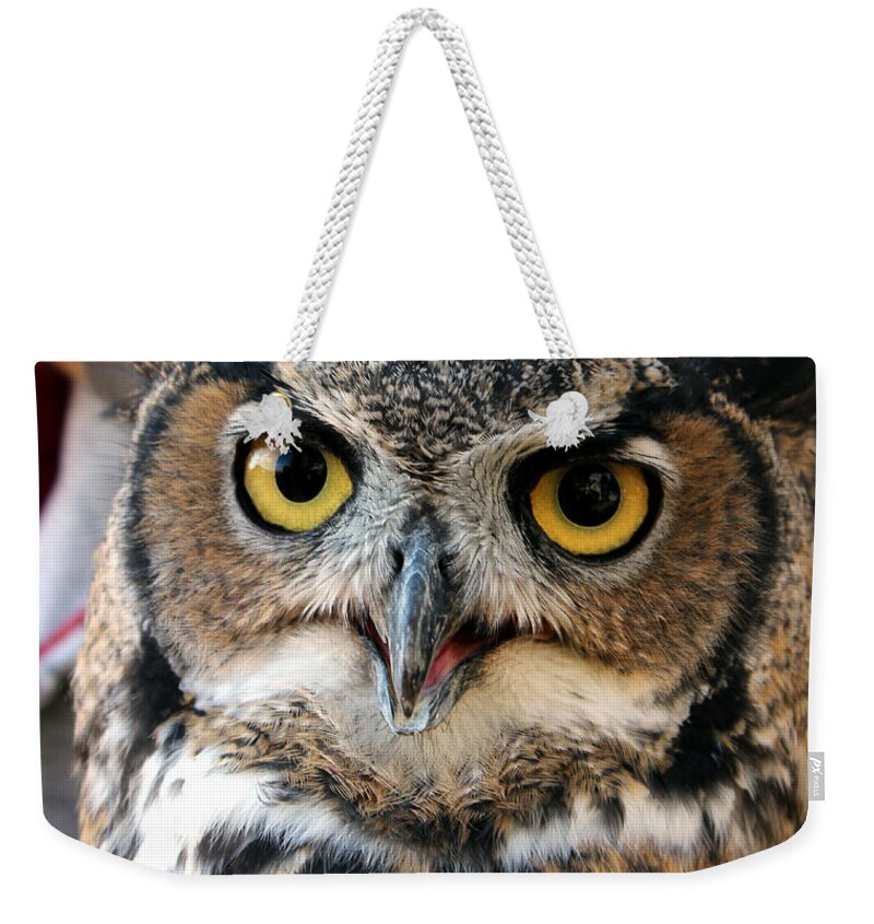 Great Horned Owl Weekender Tote Bag featuring the photograph Bubo virginianusl by Jean Evans