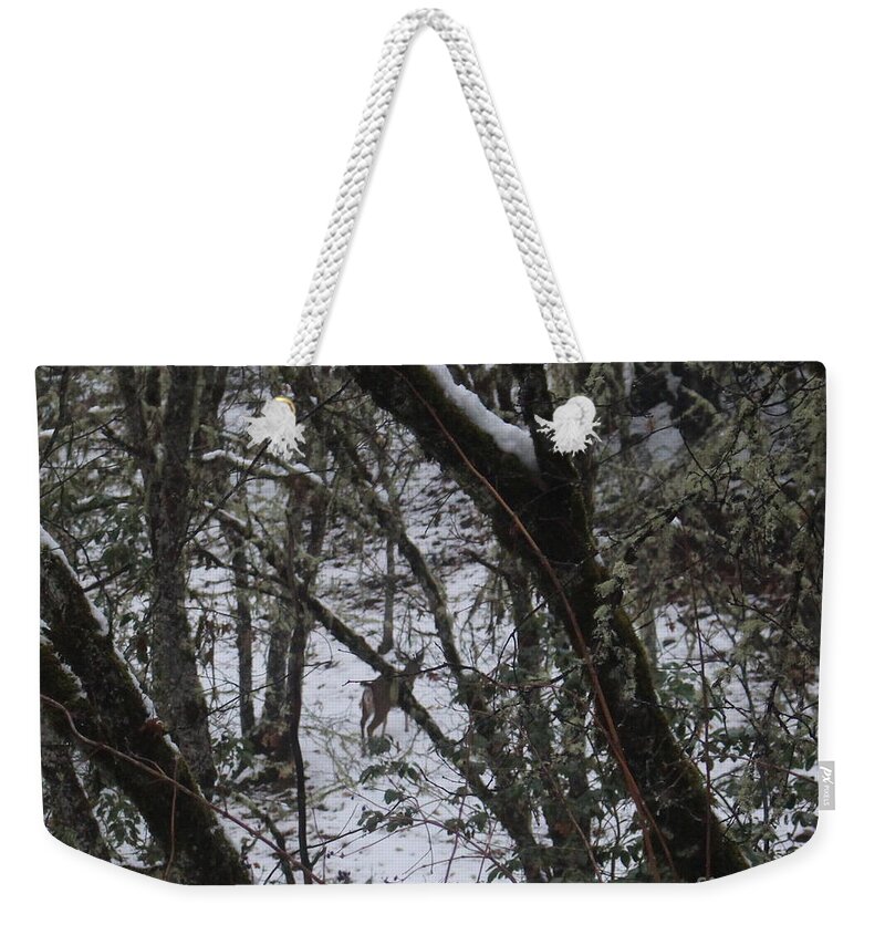 Buck Weekender Tote Bag featuring the photograph Buck from the Skycrest Trailhead by Marie Neder