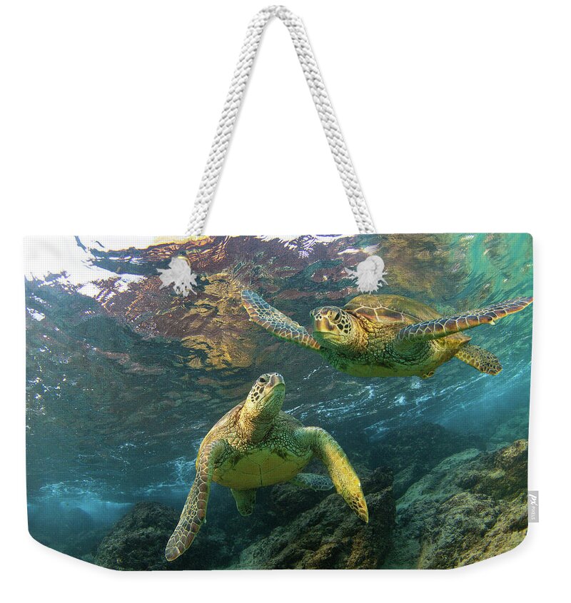 Maui Hawaii Turtles Black Rock Sealife Oceanlife Weekender Tote Bag featuring the photograph Friends by James Roemmling