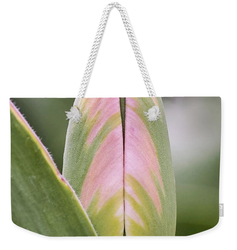 Tulip Weekender Tote Bag featuring the photograph Budding Beauty by Rona Black