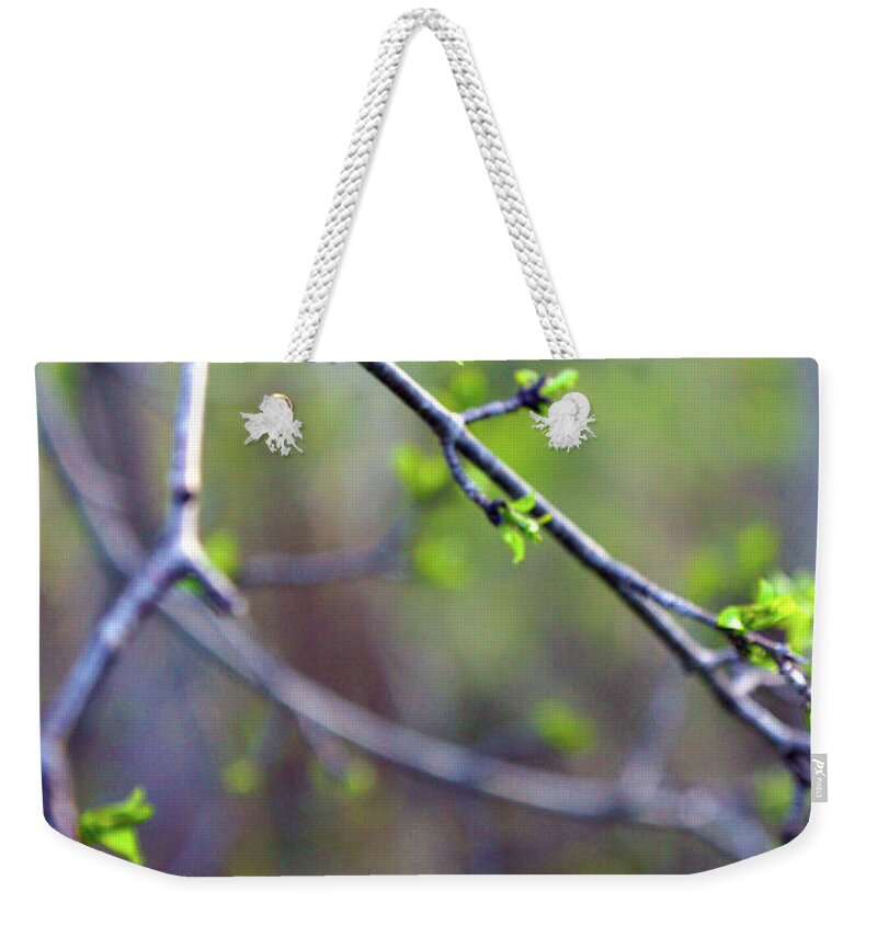 Leaves Weekender Tote Bag featuring the photograph Budding Leaves by Megan Swormstedt