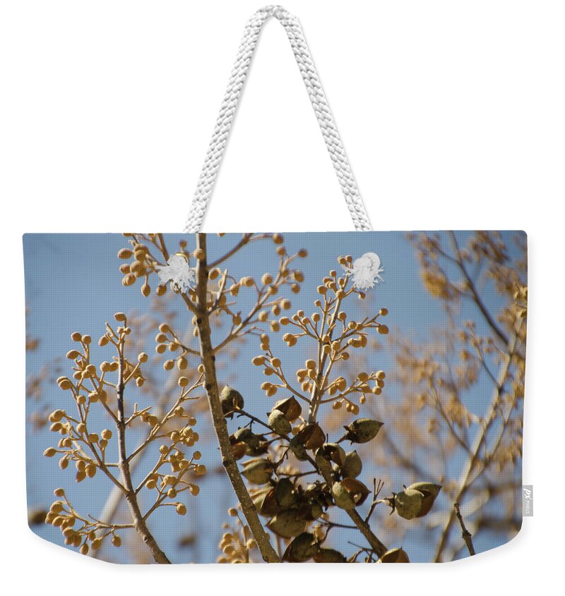 Budding Weekender Tote Bag featuring the photograph Budding Spring Tree by Bill Cannon