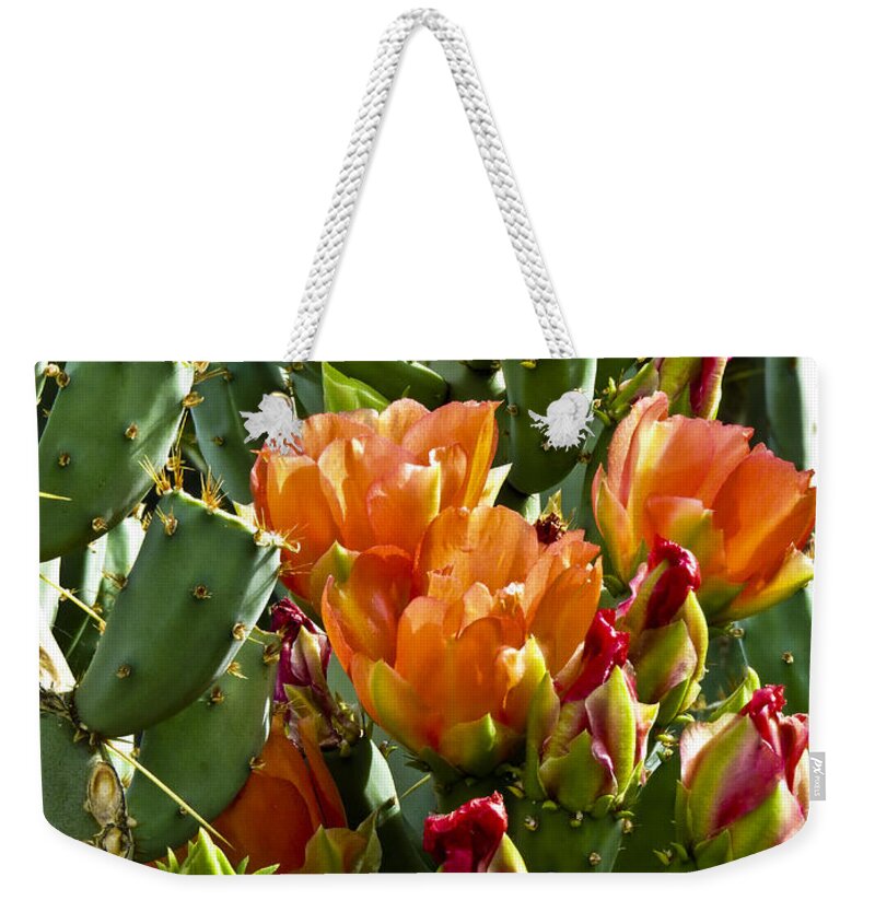Arizona Weekender Tote Bag featuring the photograph Buds N Blossoms by Kathy McClure