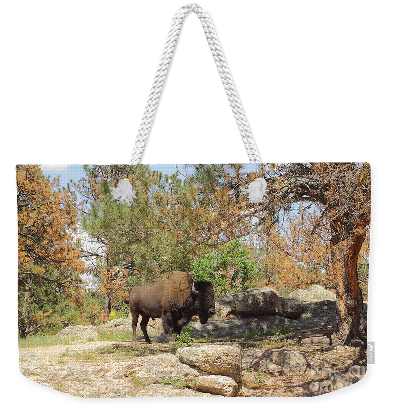 Animal Weekender Tote Bag featuring the photograph Buffalo At Dying Pine by Robert Frederick