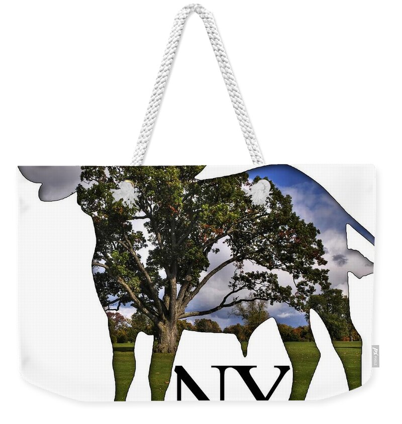 Michael Frank Jr; Nikon; Hdr; Iphone Case; Iphone; Galaxy; Galaxy Case; Phone Case; Buffalo; Buffalo Ny; Buffalo Weekender Tote Bag featuring the photograph Buffalo NY Delaware Park by Michael Frank Jr