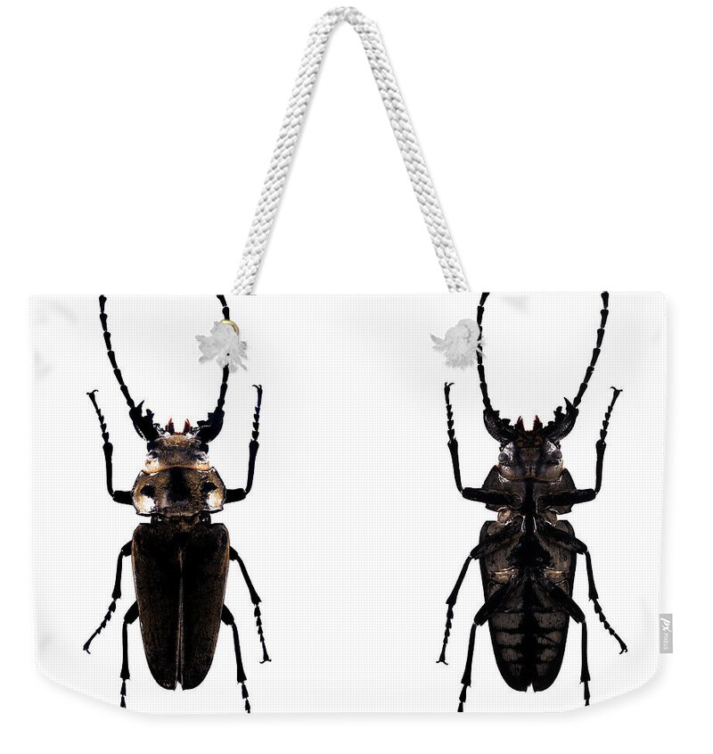 Bug Weekender Tote Bag featuring the photograph Bug Series 030 by Clayton Bastiani