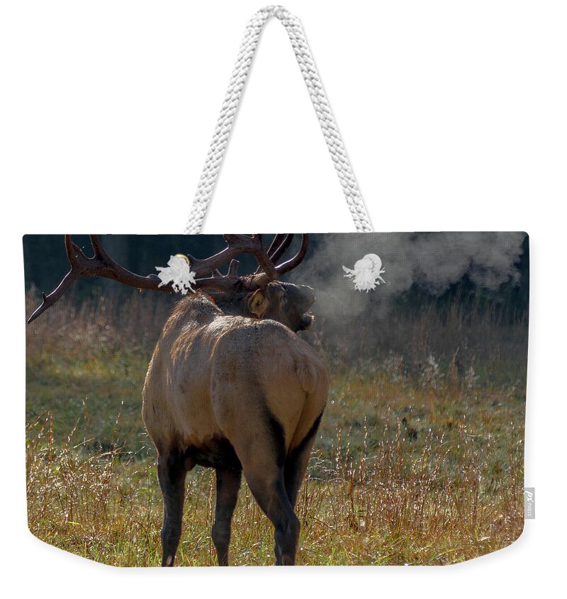 Bull Elk Weekender Tote Bag featuring the photograph Bugling On The Breeze by Eric Albright