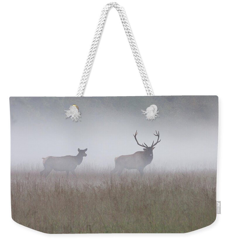 Elk Weekender Tote Bag featuring the photograph Bull and Cow Elk in Fog - September 30 2016 by D K Wall
