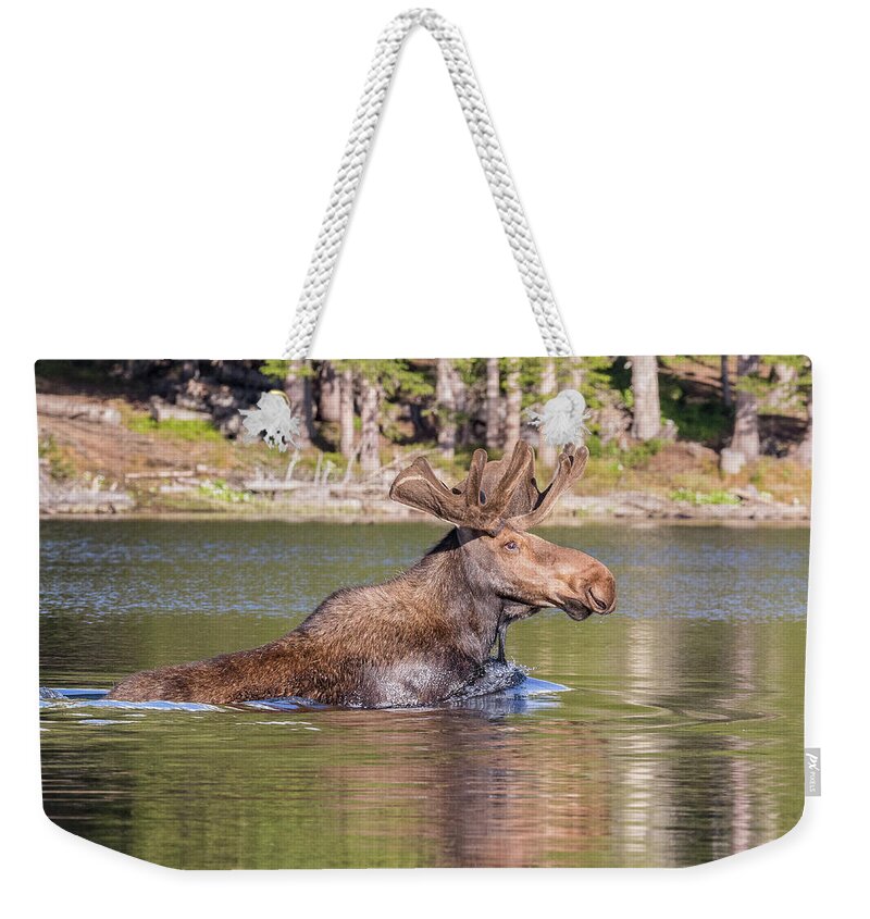 Moose Weekender Tote Bag featuring the photograph Bull Moose Goes for a Swim by Tony Hake