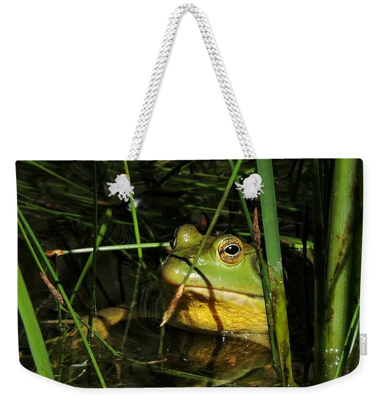 Frog Weekender Tote Bag featuring the photograph Bullfrog by Connor Beekman